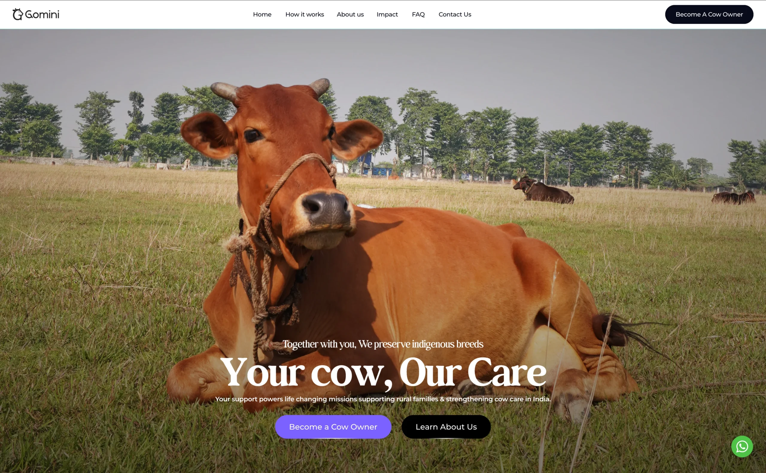 Gomini Website Development