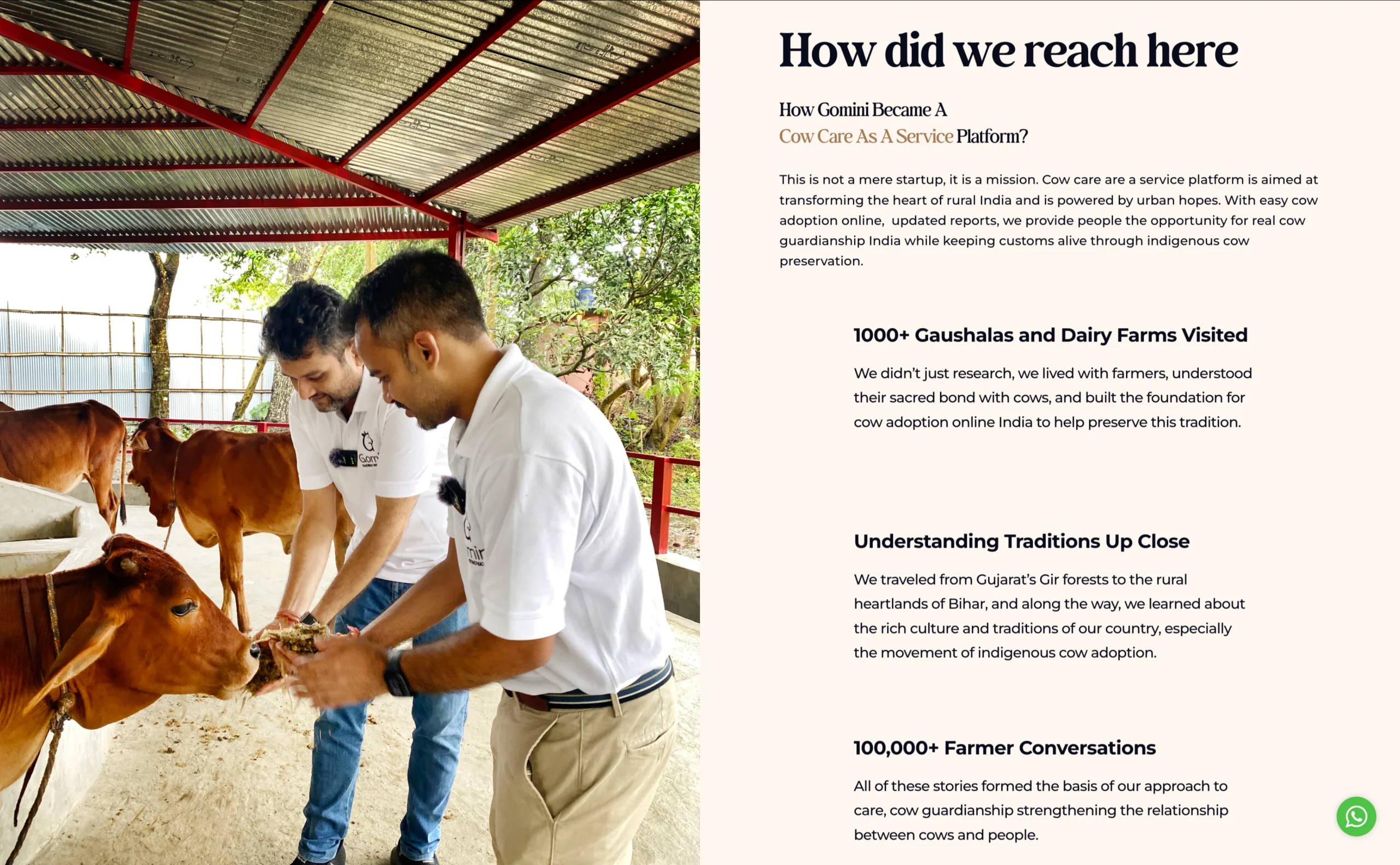 Gomini Website Development