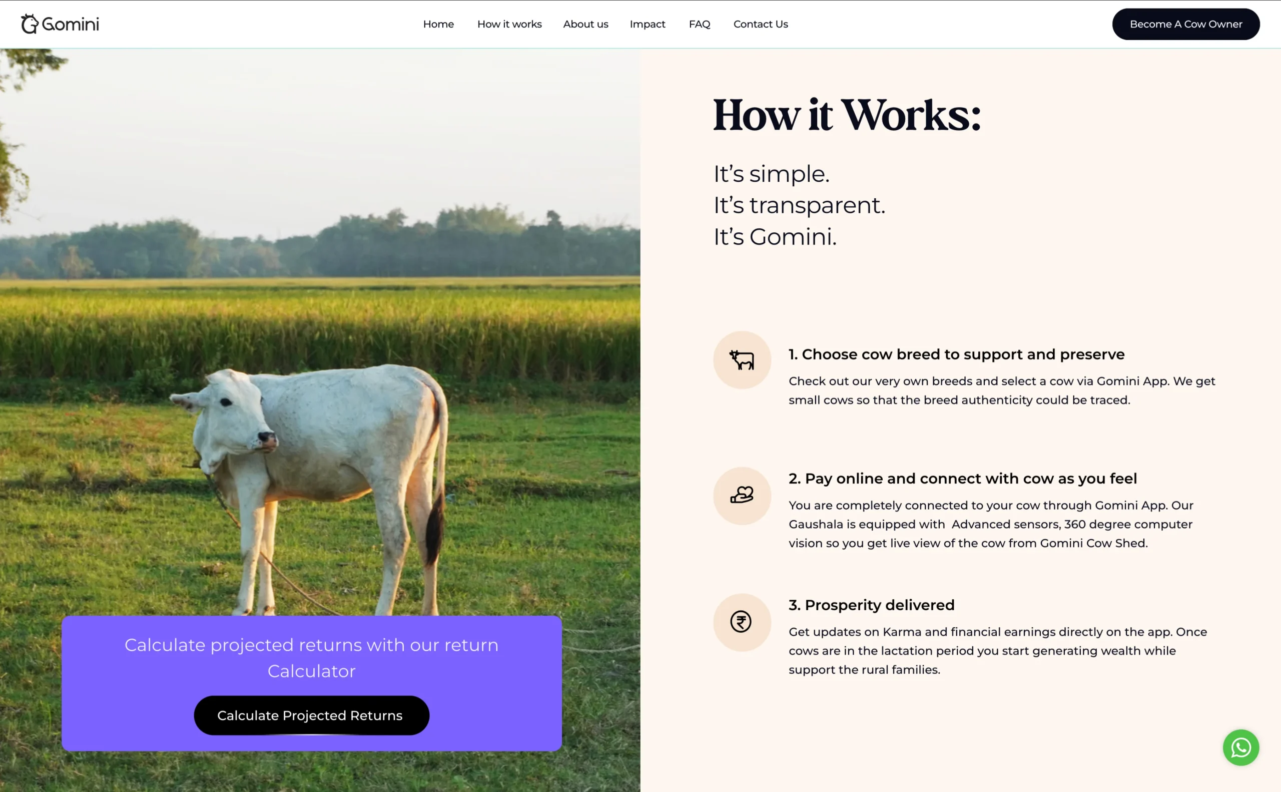 Gomini Website Development