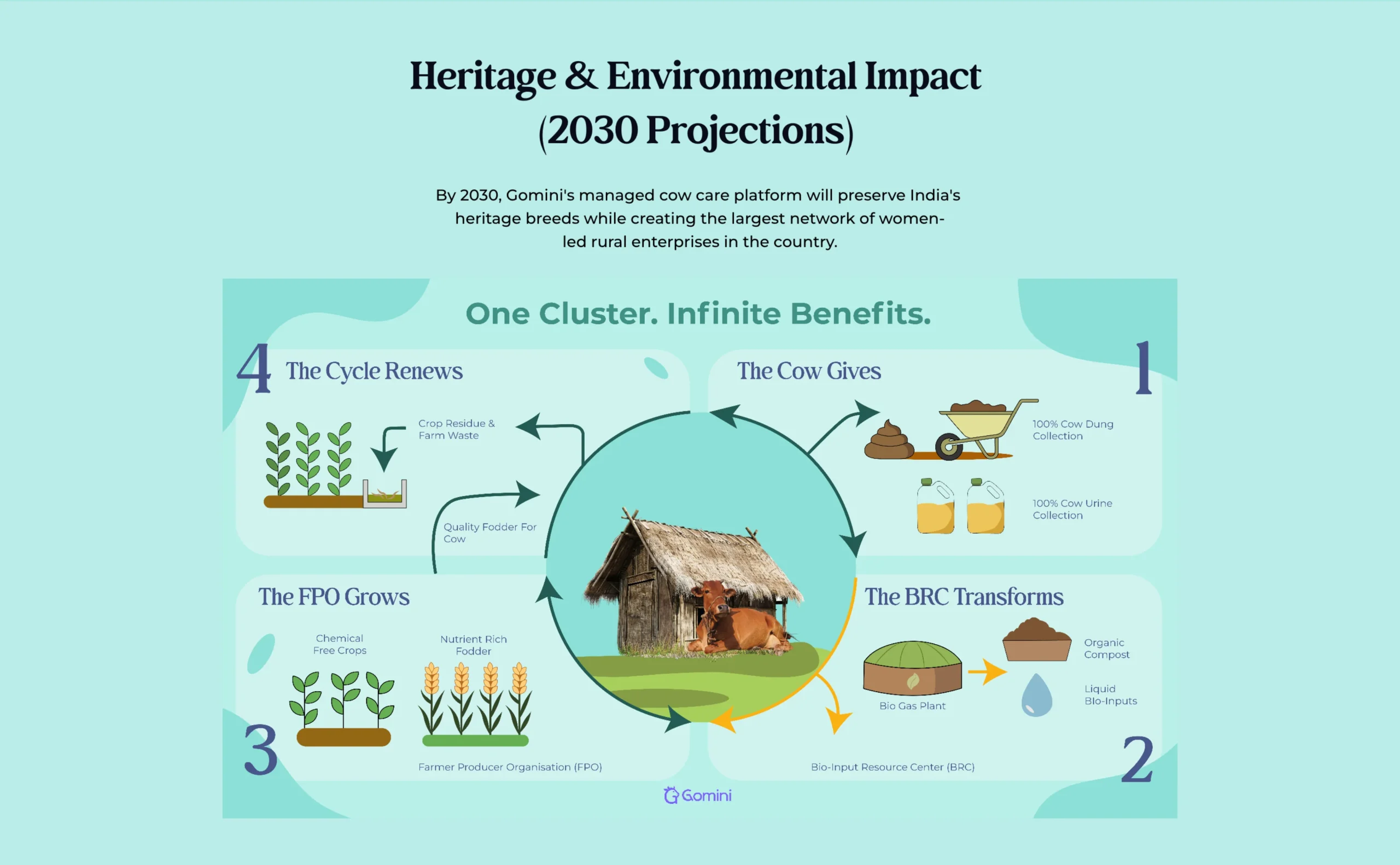 Gomini Website Development